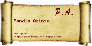 Pandia Aminta névjegykártya